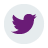 Twitter icon for Ellucian page